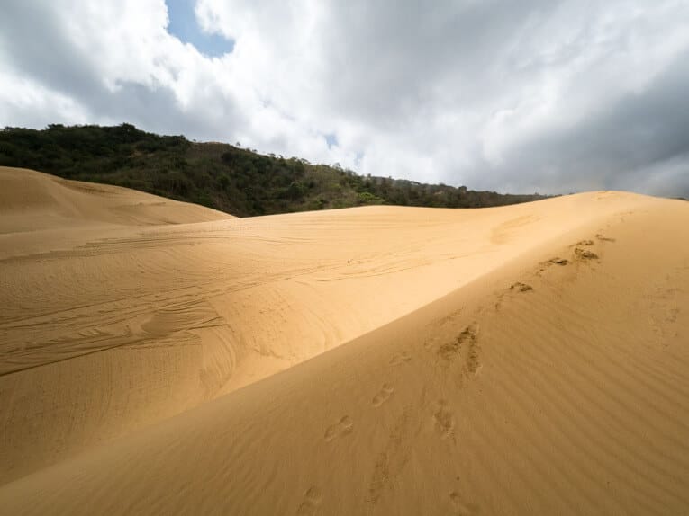 Le Parc Naturel de La Macuira dans le désert de la Guajira