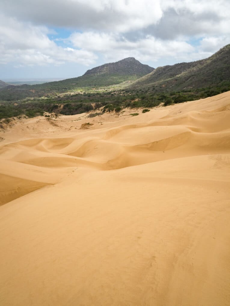 Le Parc Naturel de La Macuira dans le désert de la Guajira