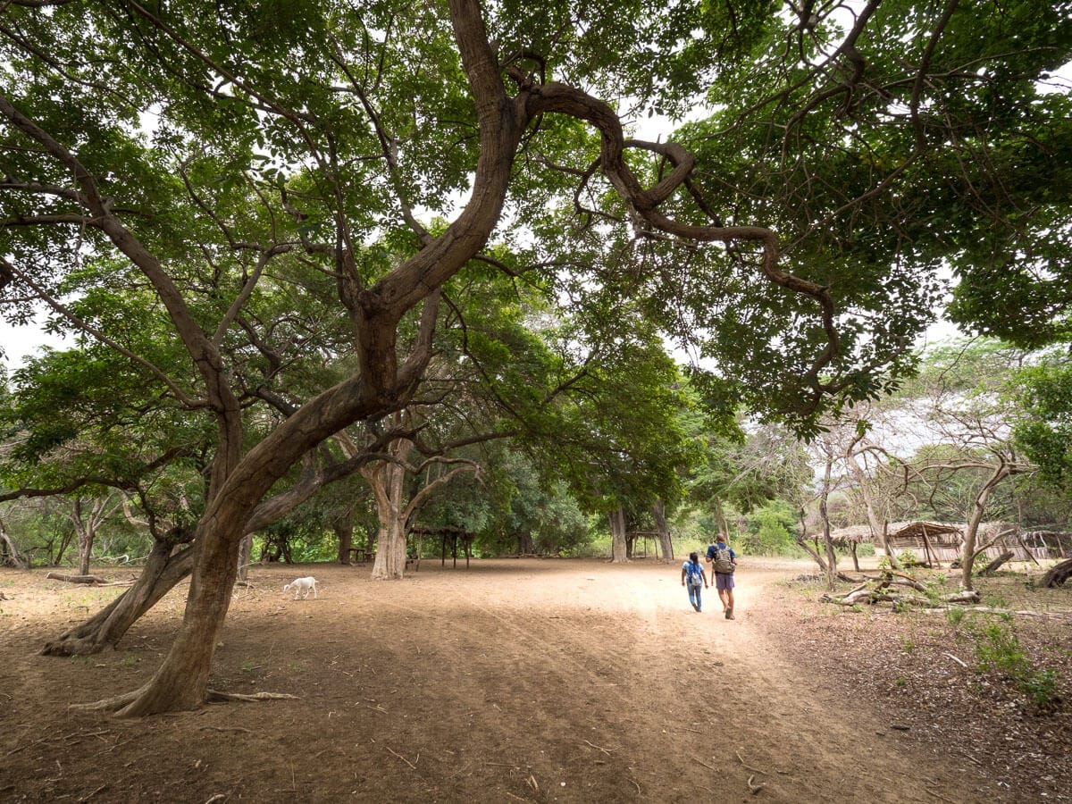 Le Parc Naturel de La Macuira dans le désert de la Guajira