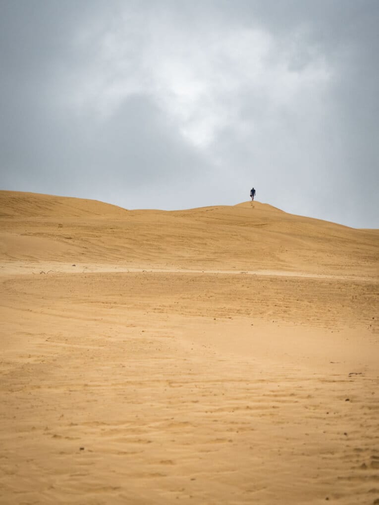 Le Parc Naturel de La Macuira dans le désert de la Guajira