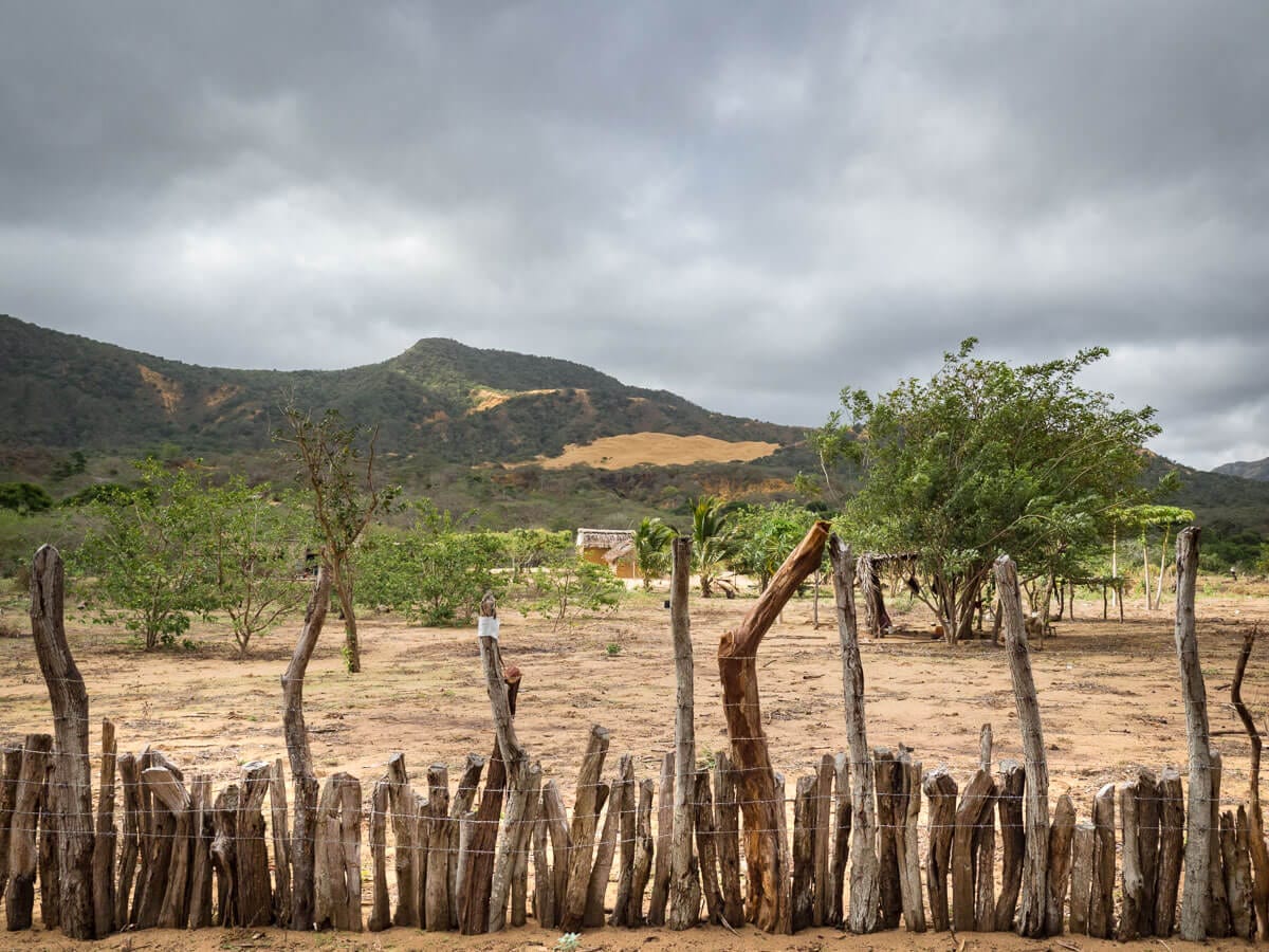 Le Parc Naturel de La Macuira dans le désert de la Guajira