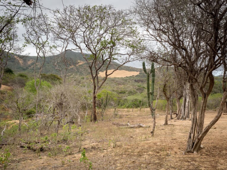 Le Parc Naturel de La Macuira dans le désert de la Guajira