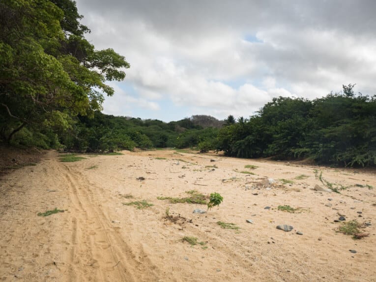 Le Parc Naturel de La Macuira dans le désert de la Guajira