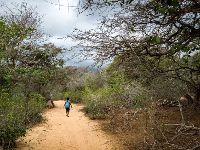 Le Parc Naturel de La Macuira dans le désert de la Guajira