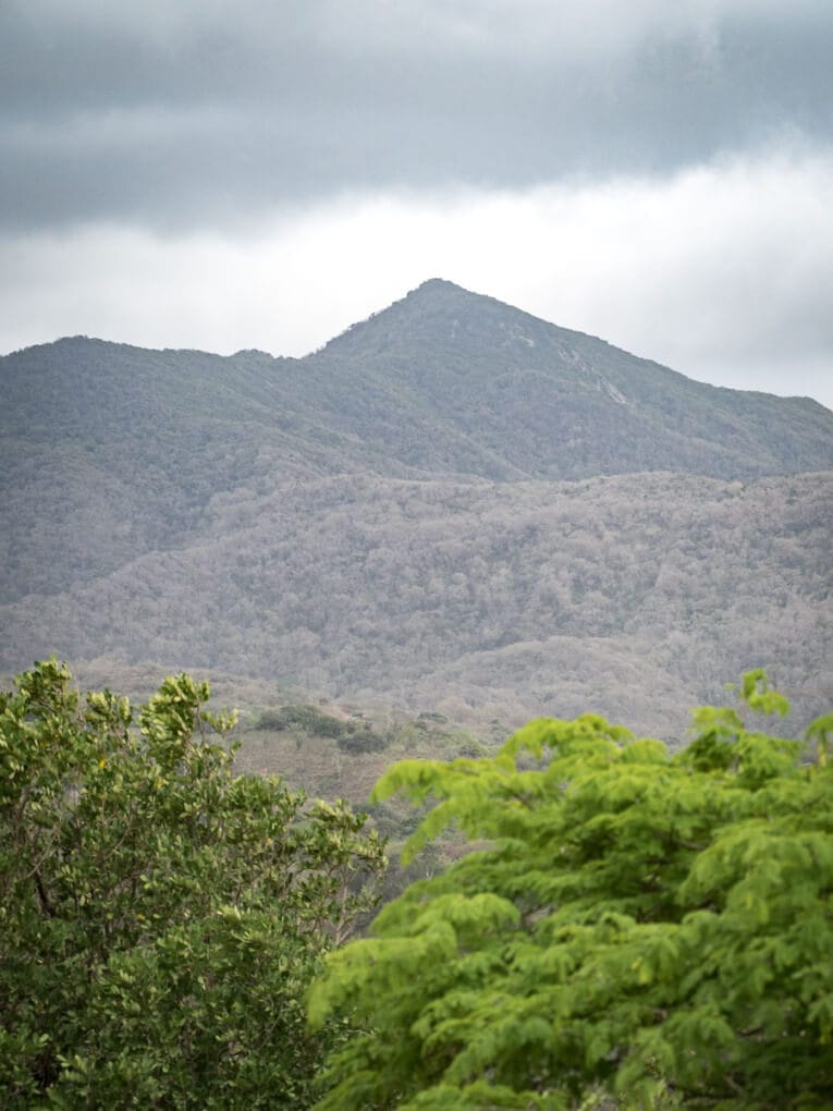 Le Parc Naturel de La Macuira dans le désert de la Guajira