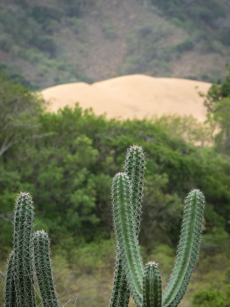 Le Parc Naturel de La Macuira dans le désert de la Guajira