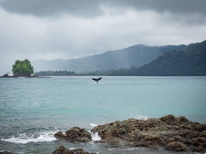 Les plus belles plages de Colombie