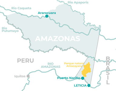 Visiter l'Amazonas en Colombie, toutes les informations pratiques