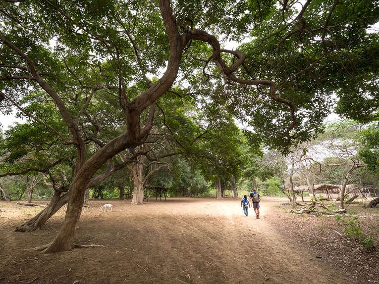 Agence pour faire un Trek dans le désert de La Guajira