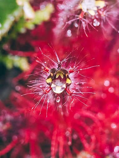Visiter Rio Ñambi près de Pasto, plus belle réserve naturelle de Colombie