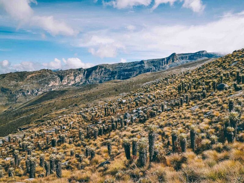 Trek au Parc Naturel National El Cocuy et Güican