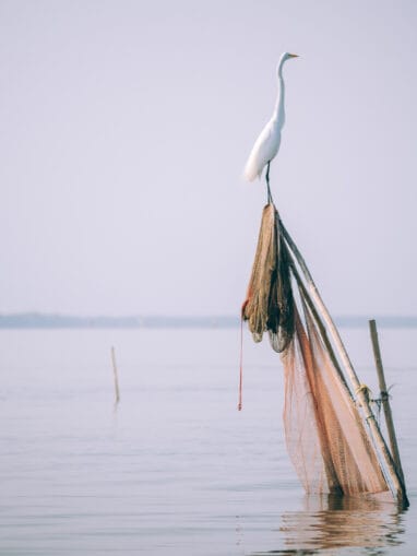 Nueva Venecia et les villages sur pilotis de la Cienaga Grande