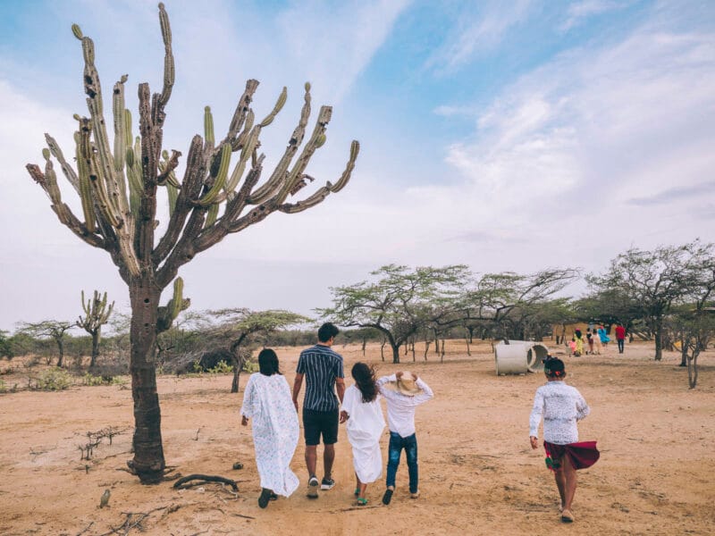Que faire à Palomino en Colombie, une expérience entre deux eaux