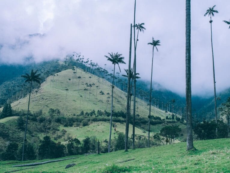 Les plus beaux treks et randonnées de Colombie