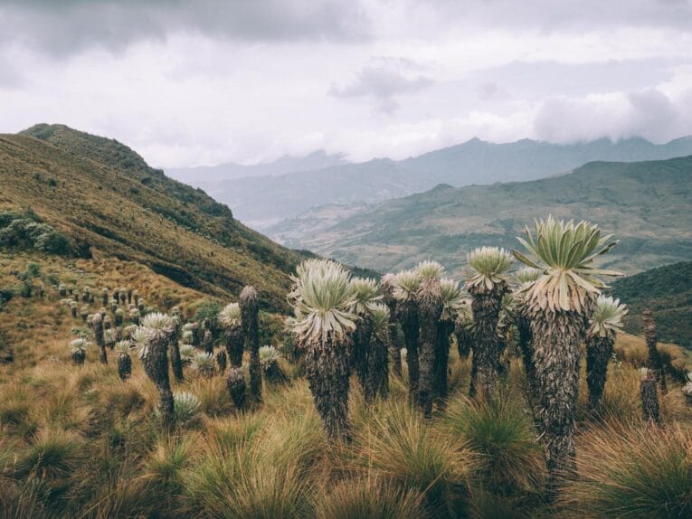 Les plus beaux treks et randonnées de Colombie