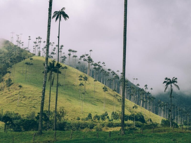 Visiter la région andine en Colombie