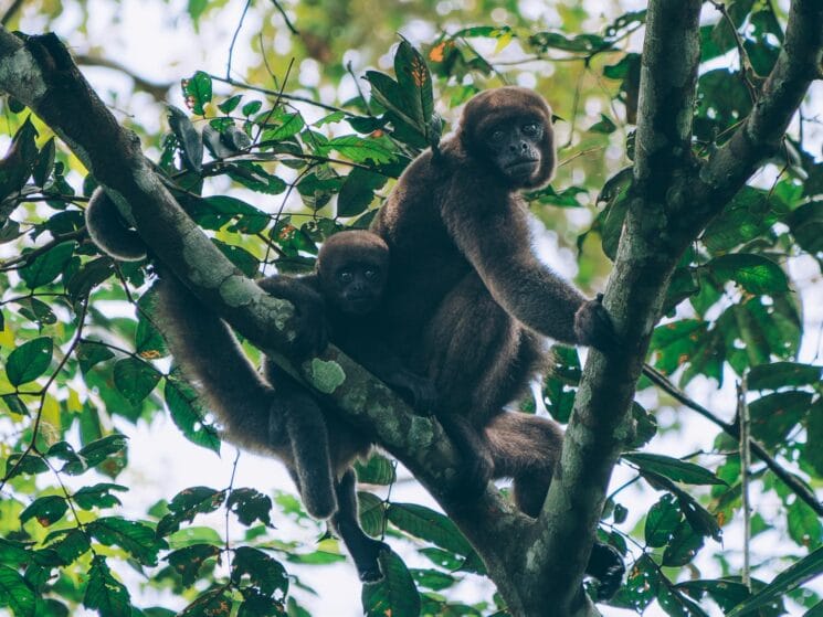 Les plus beaux treks et randonnées de Colombie