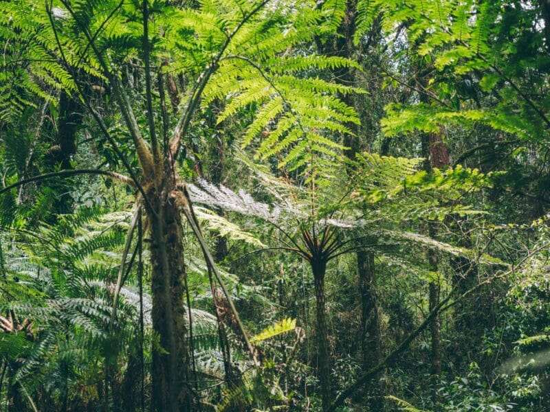 Réserve naturelle Rogitama, activité à faire près de Villa de Leyva