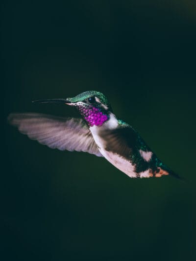 Réserve naturelle Rogitama, activité à faire près de Villa de Leyva