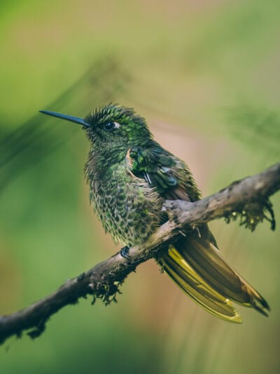 Réserve naturelle Rogitama, activité à faire près de Villa de Leyva