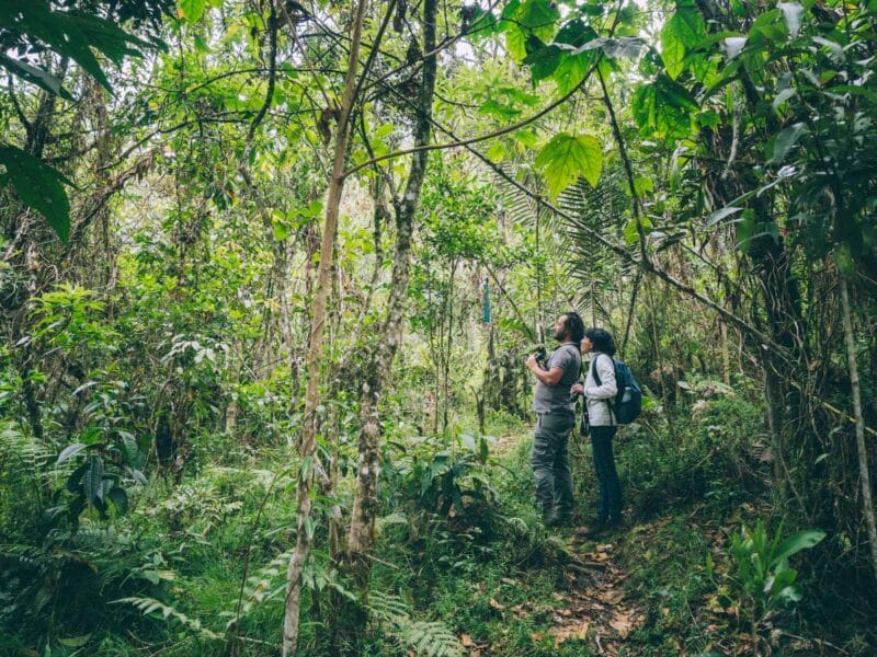 Réserve naturelle Rogitama, activité à faire près de Villa de Leyva