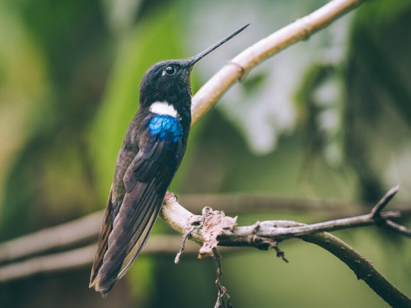 Réserve naturelle Rogitama, activité à faire près de Villa de Leyva