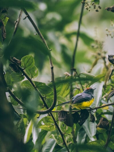Réserve naturelle Rogitama, activité à faire près de Villa de Leyva
