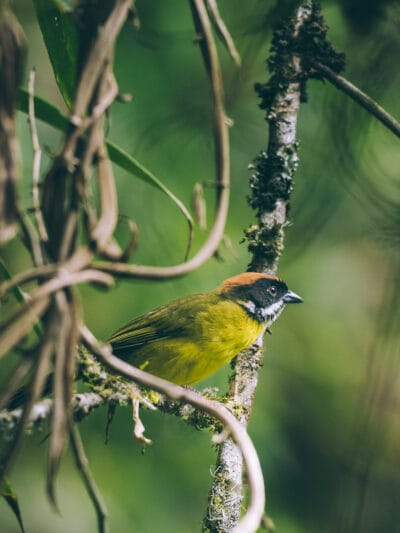 Réserve naturelle Rogitama, activité à faire près de Villa de Leyva