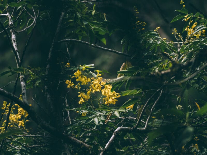 Réserve naturelle Rogitama, activité à faire près de Villa de Leyva
