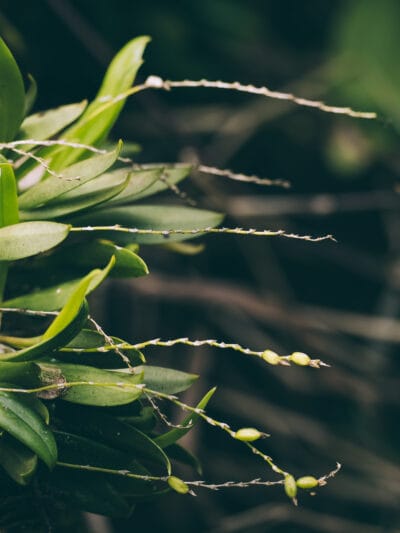 Réserve naturelle Rogitama, activité à faire près de Villa de Leyva