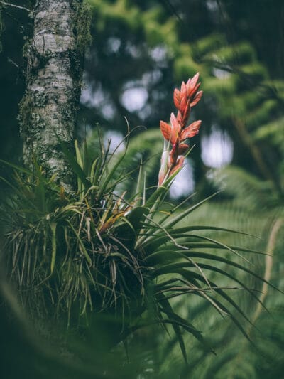 Réserve naturelle Rogitama, activité à faire près de Villa de Leyva