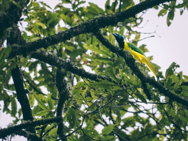 Réserve naturelle Rogitama, activité à faire près de Villa de Leyva