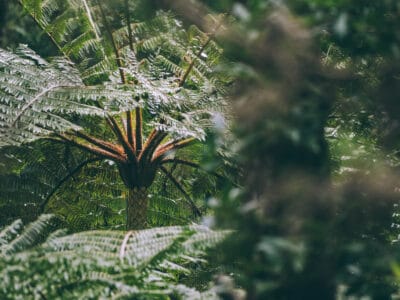 Réserve naturelle Rogitama, activité à faire près de Villa de Leyva