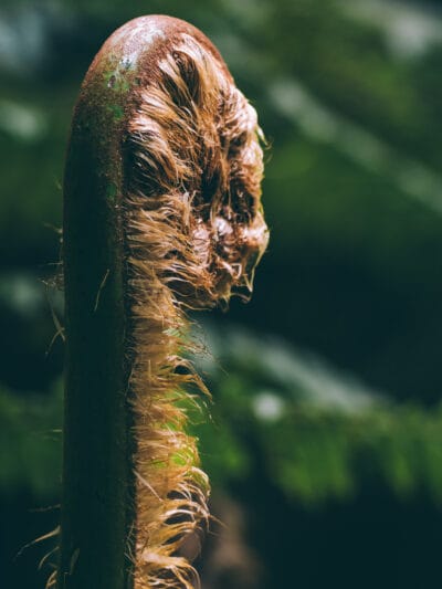 Réserve naturelle Rogitama, activité à faire près de Villa de Leyva