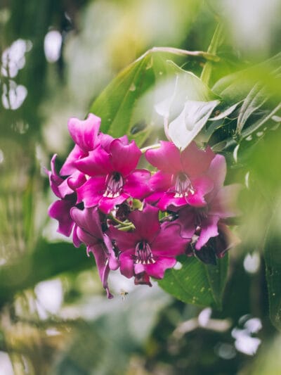Réserve naturelle Rogitama, activité à faire près de Villa de Leyva