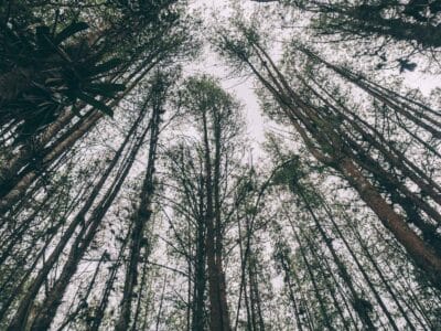 Réserve naturelle Rogitama, activité à faire près de Villa de Leyva