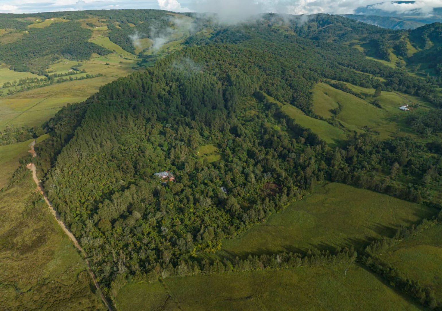 Rogitama aujourd'hui
