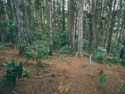 Réserve naturelle Rogitama, activité à faire près de Villa de Leyva
