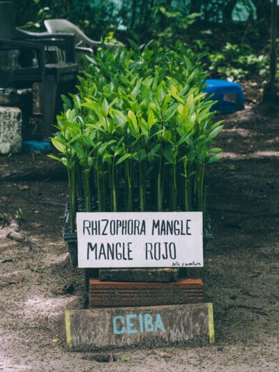 Comment visiter Isla Grande sur les îles du Rosaire