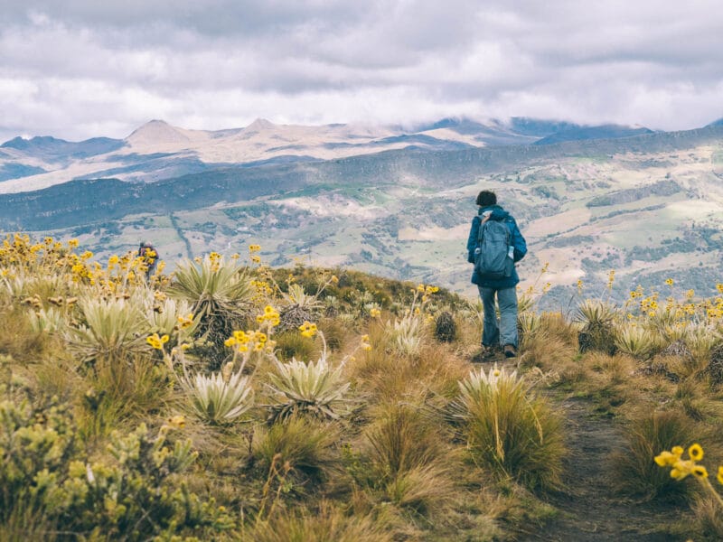 Visiter Bogotá : guide complet pour organiser et réussir son séjour