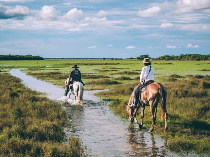 Visiter le Casanare en Colombie : découvrir les Llanos colombiens