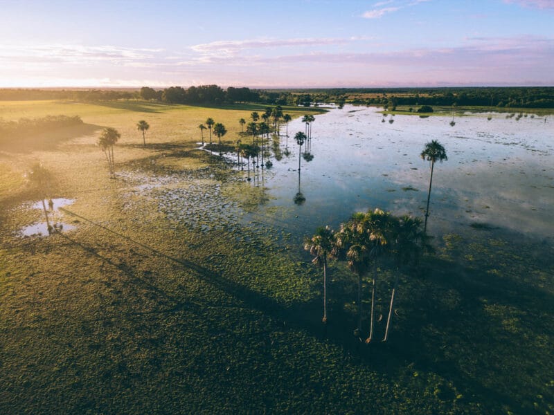Visiter le Casanare en Colombie : découvrir les Llanos colombiens