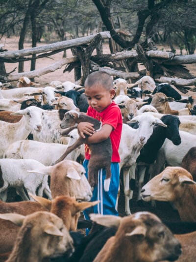 À quoi s’attendre dans le désert de la Guajira en Colombie