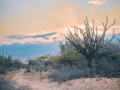 À quoi s’attendre dans le désert de la Guajira en Colombie