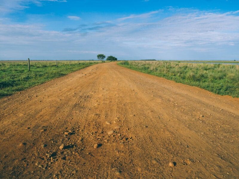 Immersion dans le Llano Profundo : six jours au cœur du Casanare sauvage
