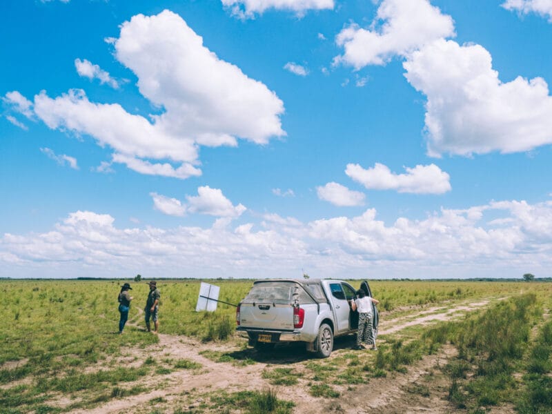 Immersion dans le Llano Profundo : six jours au cœur du Casanare sauvage