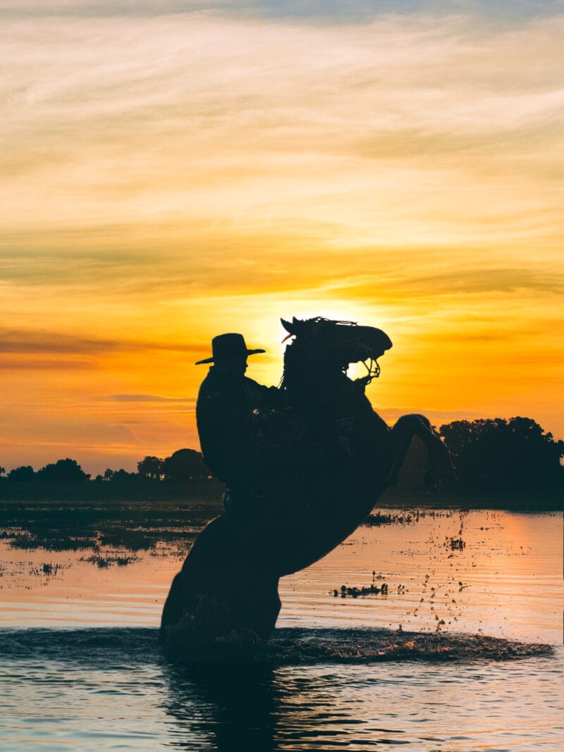 Immersion dans le Llano Profundo : six jours au cœur du Casanare sauvage