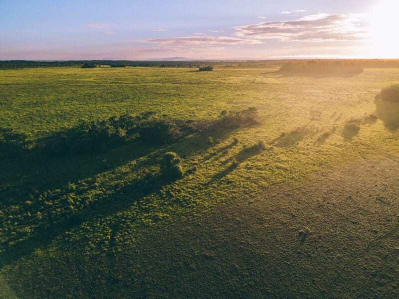 Immersion dans le Llano Profundo : six jours au cœur du Casanare sauvage