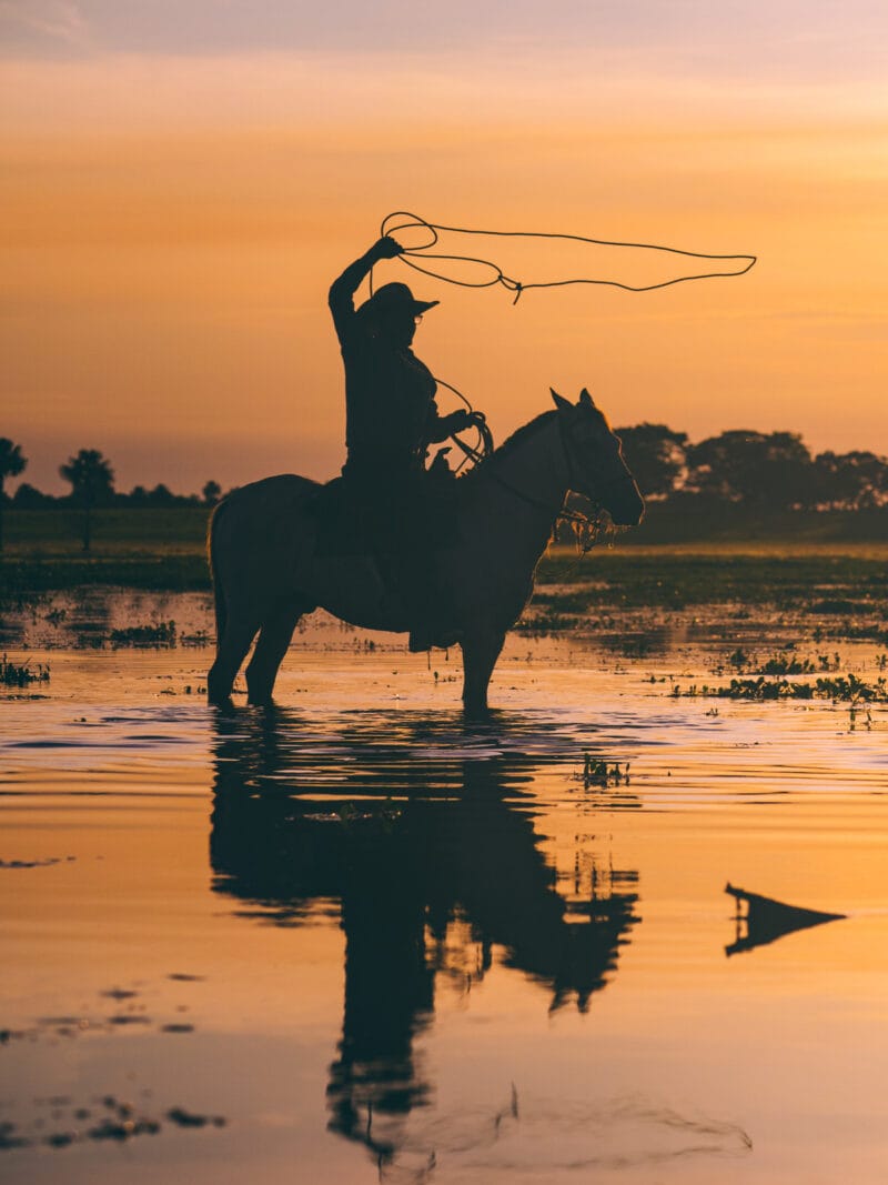Immersion dans le Llano Profundo : six jours au cœur du Casanare sauvage