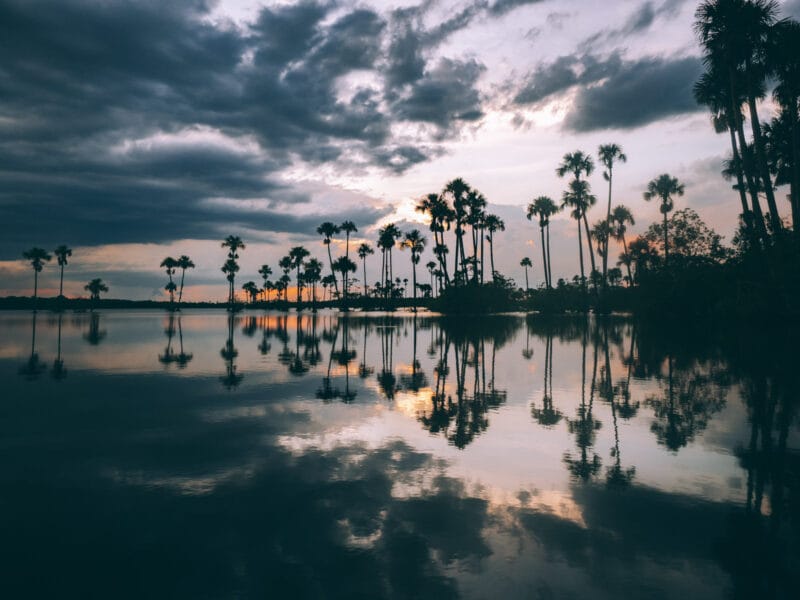Immersion dans le Llano Profundo : six jours au cœur du Casanare sauvage